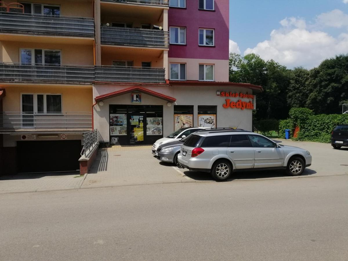 Apartament Witkiewicza ซาน็อค ภายนอก รูปภาพ